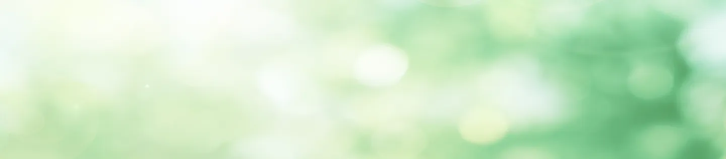 ファーストビュー